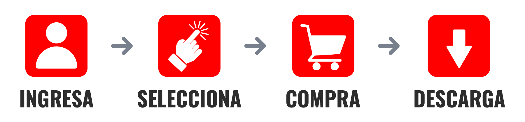 nexsys-esd-modelo-nexsys-light