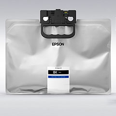 Epson DURABrite ink cartridge 1 pc(s) Original Black