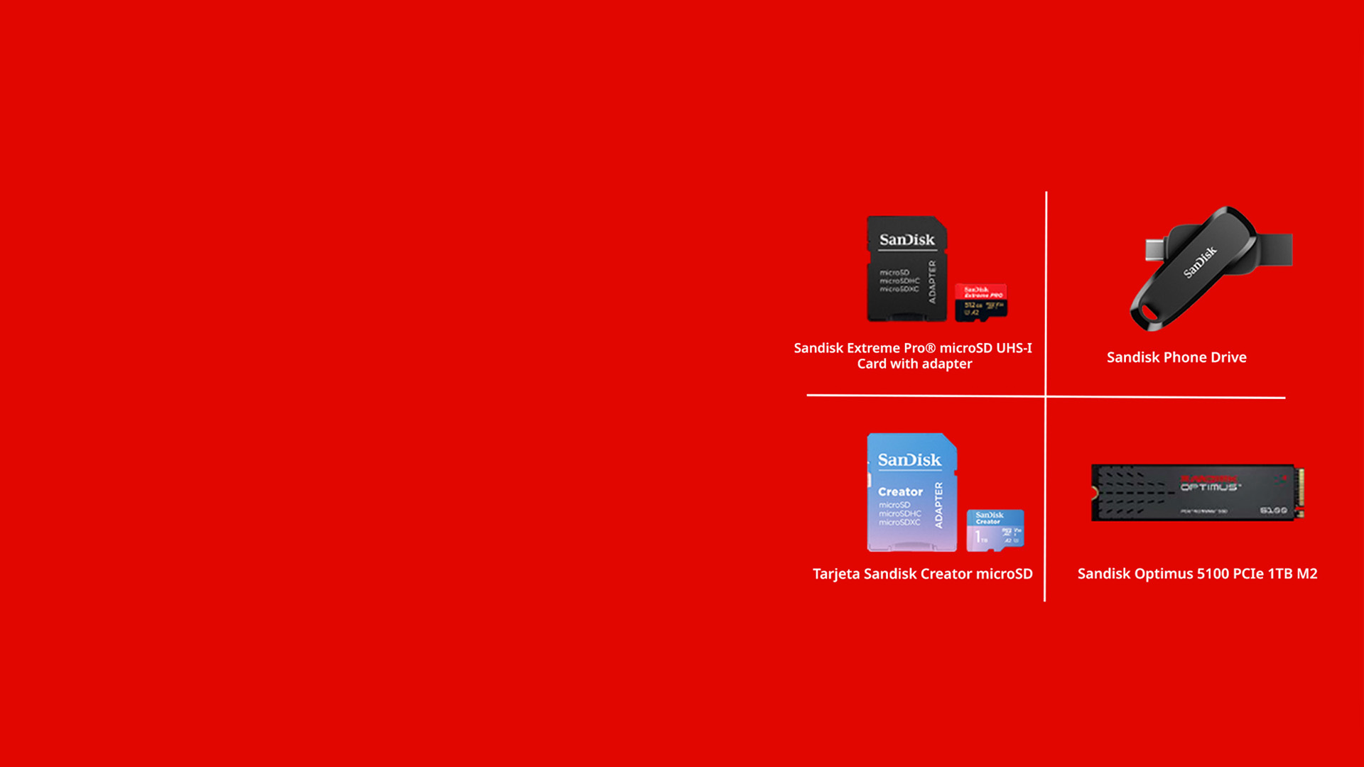 Banner SANDISK Home
